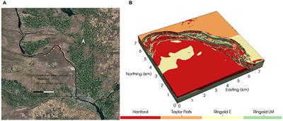 High-Performance Simulation of Dynamic Hydrologic Exchange and Implications for Surrogate Flow and Reactive Transport Modeling in a Large River Corridor